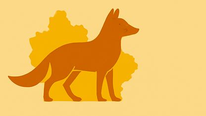 Leicestershire Life. About living life in Leicestershire with news, events, fitness, health, lifestyle and local information.